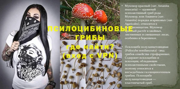 гидропоника Алзамай