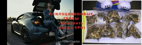 гидропоника Алзамай