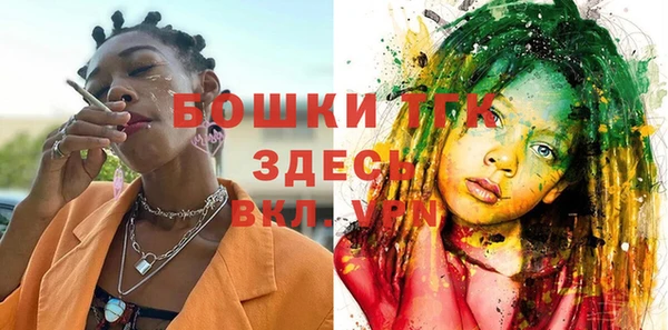 гидропоника Алзамай